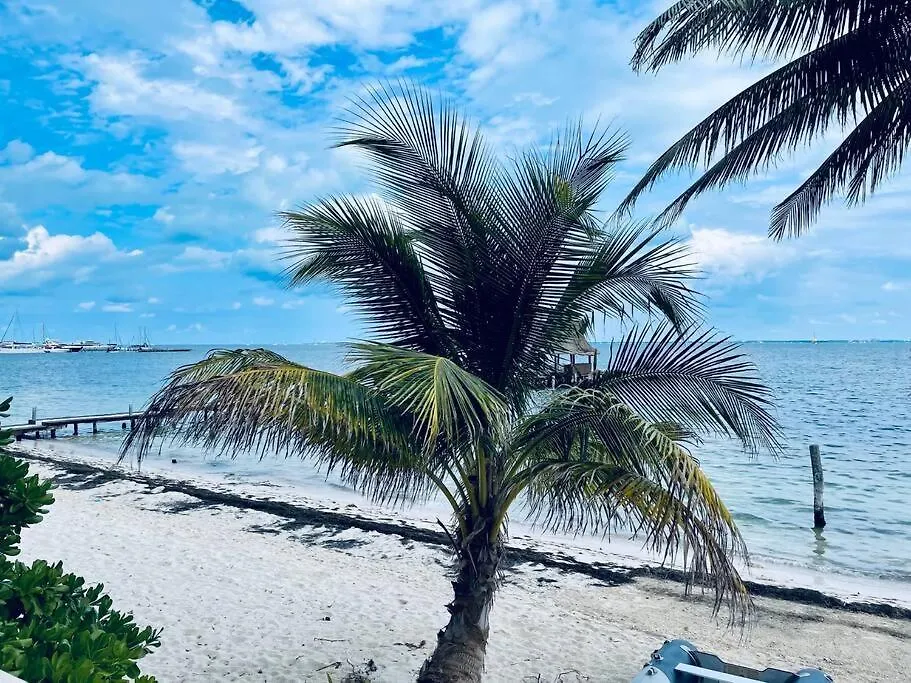 Punta Me Apartments With Ocean View & Beach Front Condo Cancun Mexico