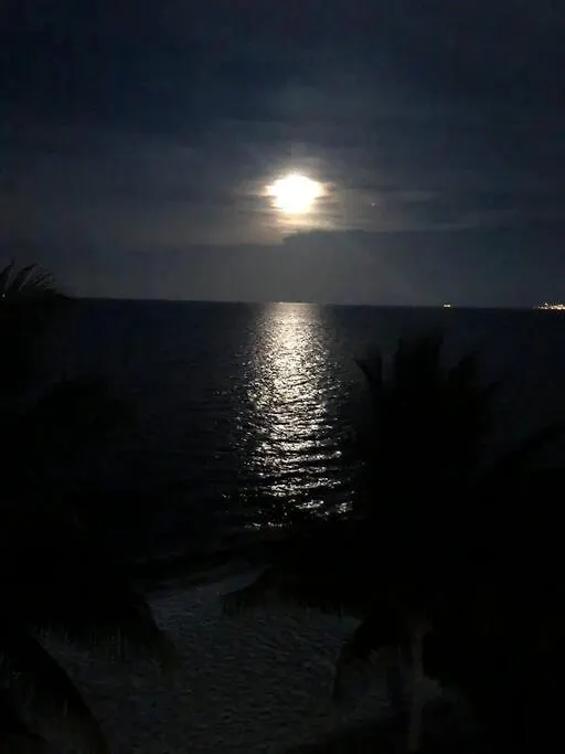 Punta Me Apartments With Ocean View & Beach Front Condo Cancun Mexico