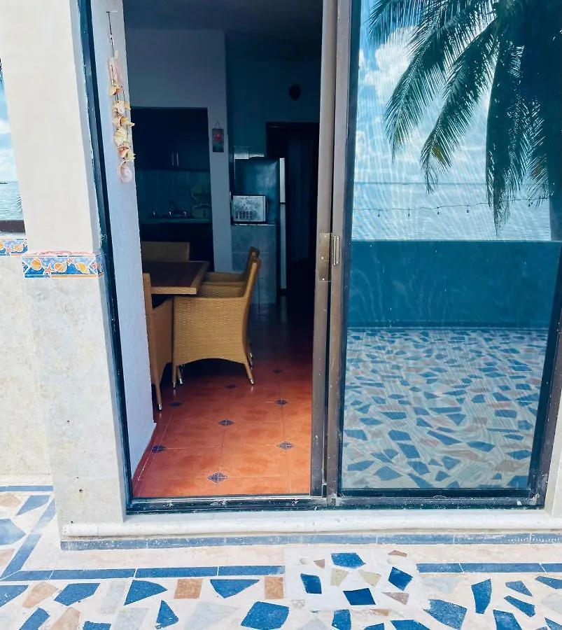 Punta Me Apartments With Ocean View & Beach Front Condo Cancun