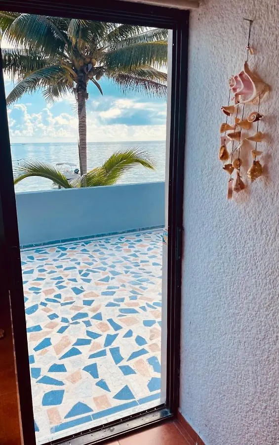 Punta Me Apartments With Ocean View & Beach Front Condo Cancun