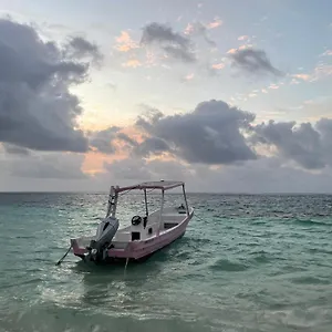 Home's Jungle Puerto Morelos 20 Minutes From The Airport Cancún